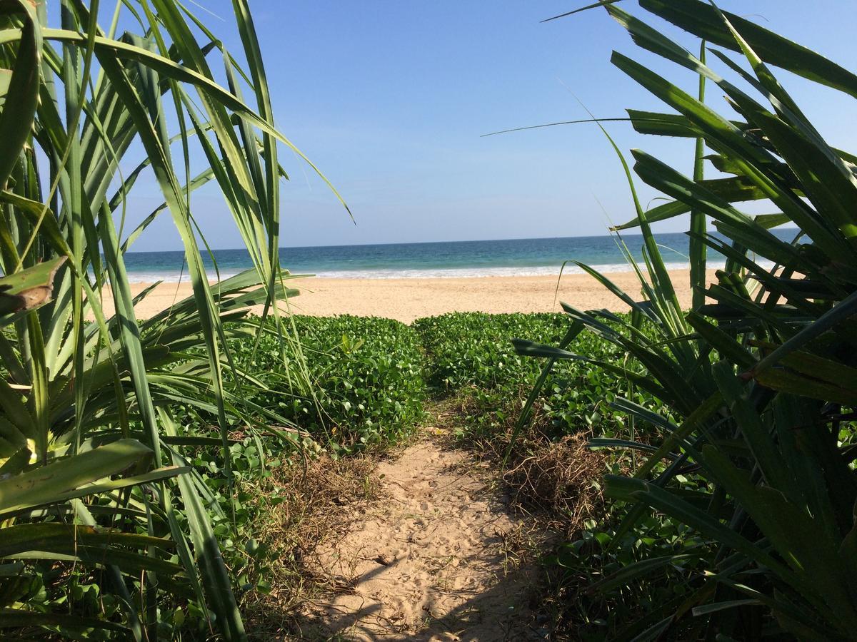 Talalla Bay Beach Dış mekan fotoğraf